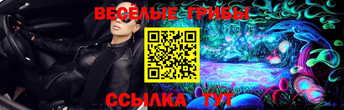 Галлюциногенные грибы Psilocybine cubensis  Вход с VPN  купить наркотики сайты  Красноярск 